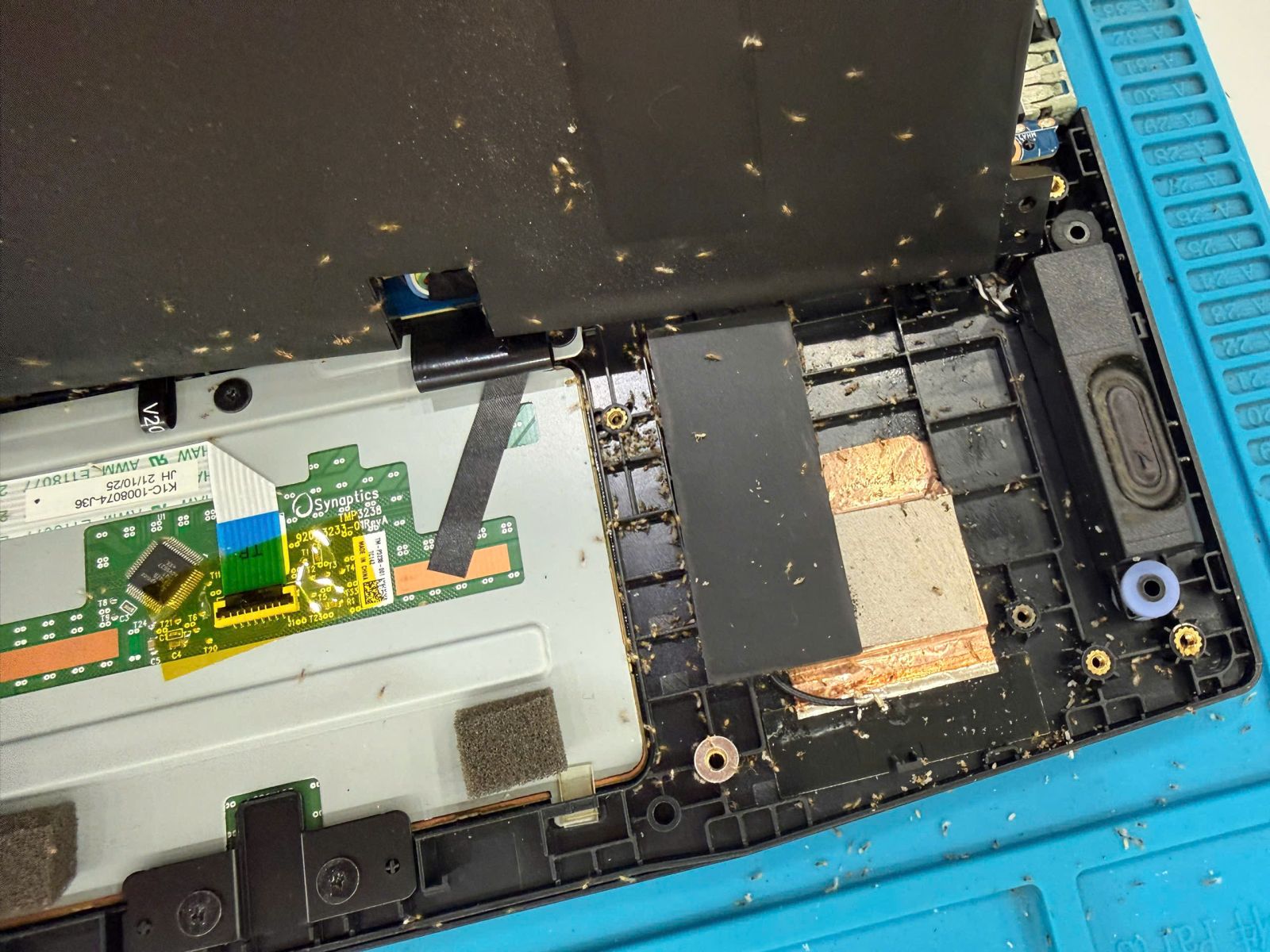 Laptop bị bám bụi và kiến xâm nhập bên trong thân máy